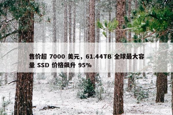 售价超 7000 美元，61.44TB 全球最大容量 SSD 价格飙升 95%