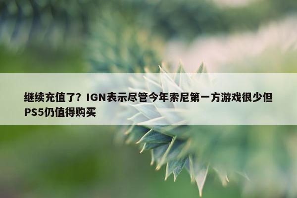 继续充值了？IGN表示尽管今年索尼第一方游戏很少但PS5仍值得购买