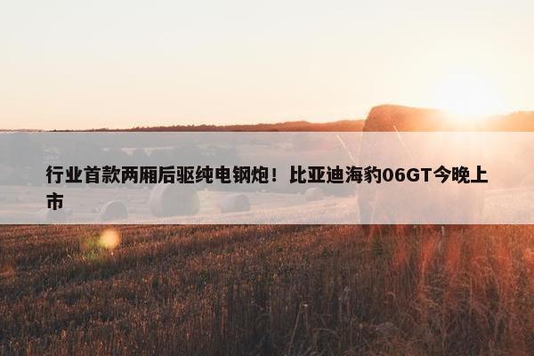 行业首款两厢后驱纯电钢炮！比亚迪海豹06GT今晚上市