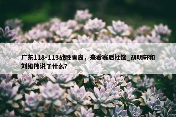 广东118-113战胜青岛，来看赛后杜锋_胡明轩和刘维伟说了什么？