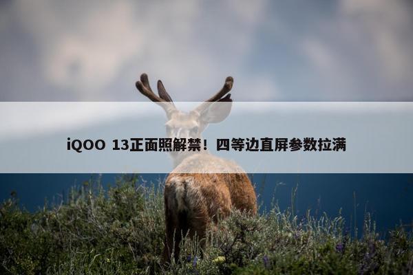 iQOO 13正面照解禁！四等边直屏参数拉满