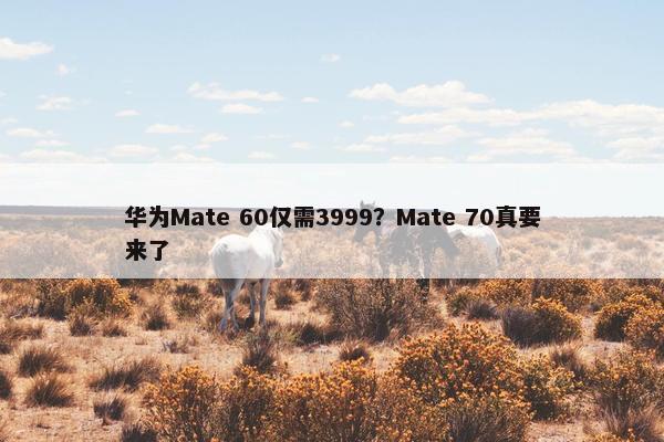 华为Mate 60仅需3999？Mate 70真要来了