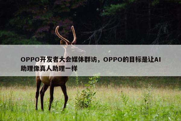 OPPO开发者大会媒体群访，OPPO的目标是让AI助理像真人助理一样