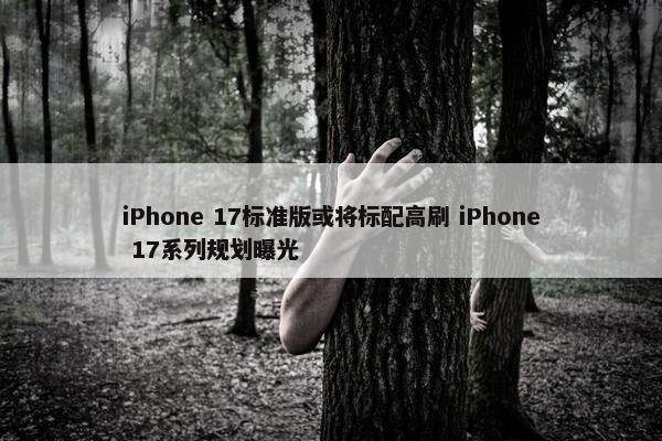 iPhone 17标准版或将标配高刷 iPhone 17系列规划曝光