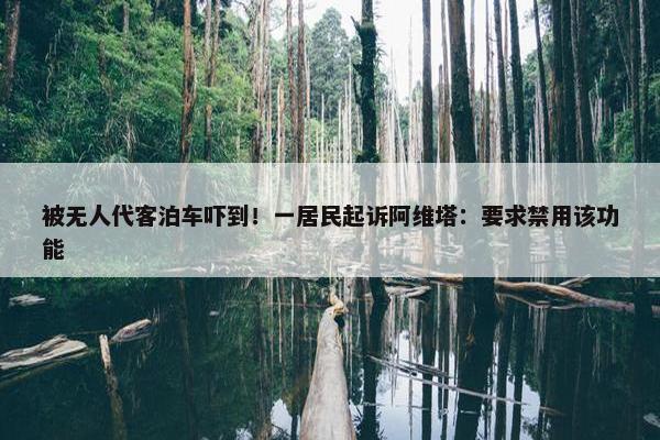 被无人代客泊车吓到！一居民起诉阿维塔：要求禁用该功能