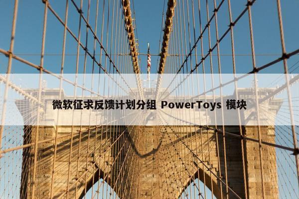 微软征求反馈计划分组 PowerToys 模块