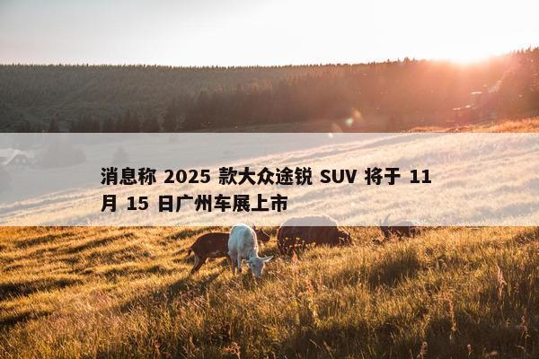 消息称 2025 款大众途锐 SUV 将于 11 月 15 日广州车展上市