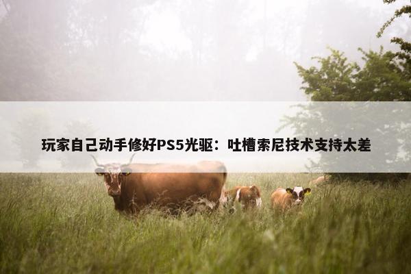 玩家自己动手修好PS5光驱：吐槽索尼技术支持太差