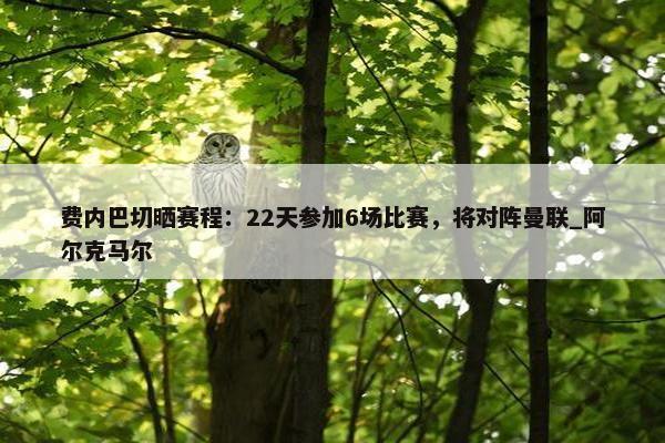 费内巴切晒赛程：22天参加6场比赛，将对阵曼联_阿尔克马尔