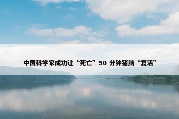 中国科学家成功让“死亡”50 分钟猪脑“复活”