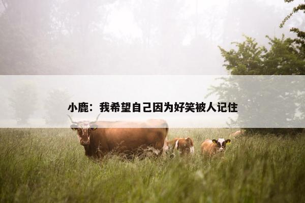 小鹿：我希望自己因为好笑被人记住