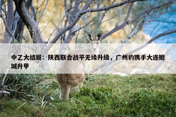 中乙大结局：陕西联合战平无缘升级，广州豹携手大连鲲城升甲