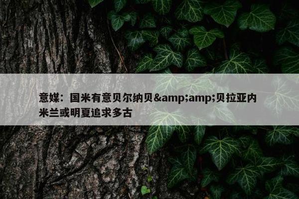 意媒：国米有意贝尔纳贝&贝拉亚内 米兰或明夏追求多古