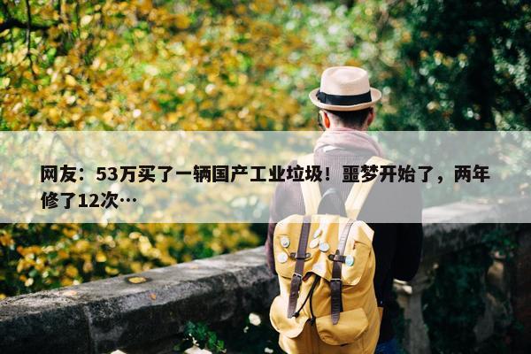 网友：53万买了一辆国产工业垃圾！噩梦开始了，两年修了12次…