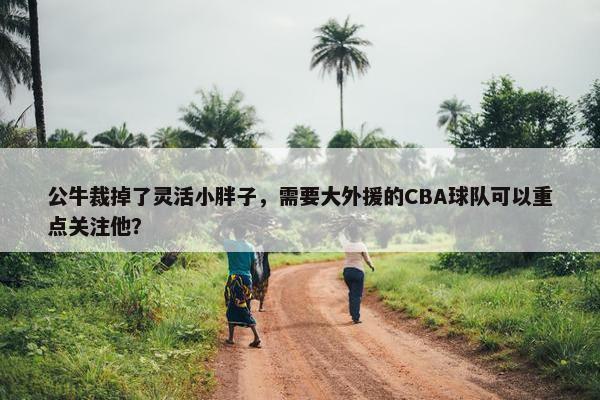 公牛裁掉了灵活小胖子，需要大外援的CBA球队可以重点关注他？