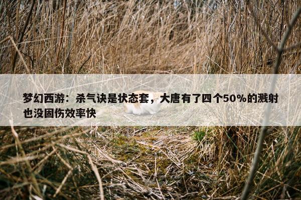 梦幻西游：杀气诀是状态套，大唐有了四个50%的溅射也没固伤效率快