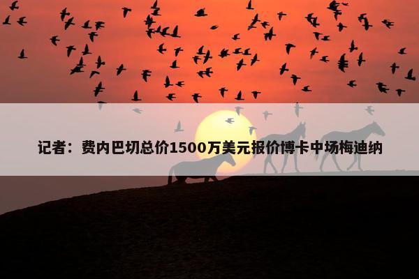 记者：费内巴切总价1500万美元报价博卡中场梅迪纳