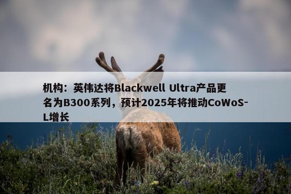 机构：英伟达将Blackwell Ultra产品更名为B300系列，预计2025年将推动CoWoS-L增长