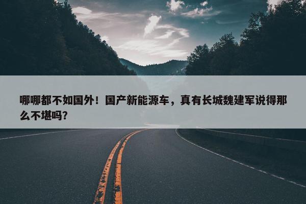 哪哪都不如国外！国产新能源车，真有长城魏建军说得那么不堪吗？