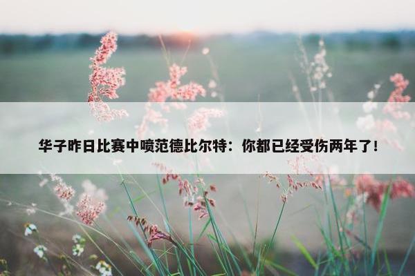 华子昨日比赛中喷范德比尔特：你都已经受伤两年了！