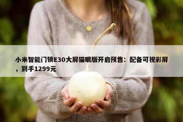 小米智能门锁E30大屏猫眼版开启预售：配备可视彩屏，到手1299元