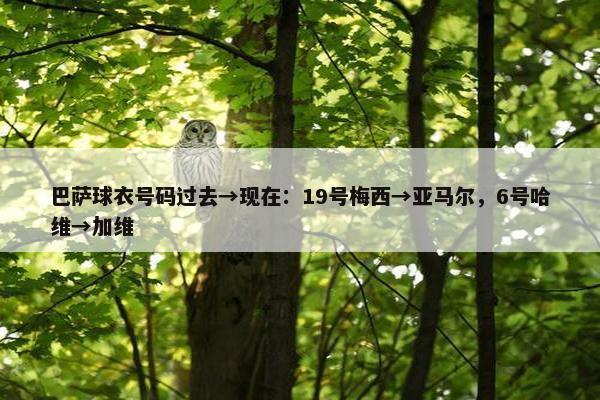 巴萨球衣号码过去→现在：19号梅西→亚马尔，6号哈维→加维