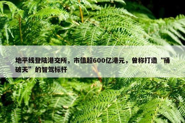 地平线登陆港交所，市值超600亿港元，曾称打造“捅破天”的智驾标杆