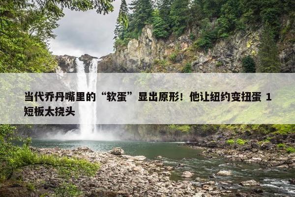 当代乔丹嘴里的“软蛋”显出原形！他让纽约变扭蛋 1短板太挠头