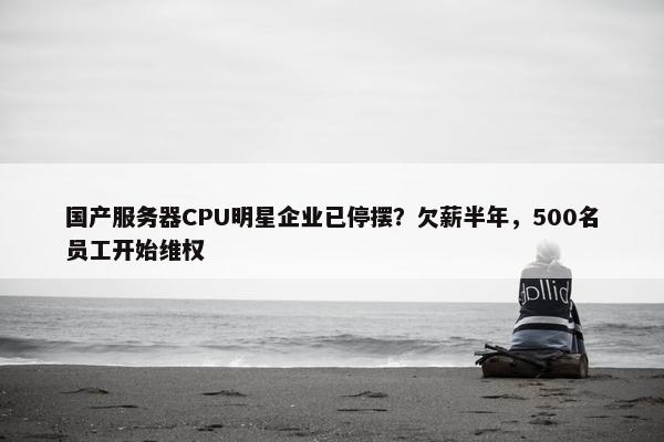 国产服务器CPU明星企业已停摆？欠薪半年，500名员工开始维权