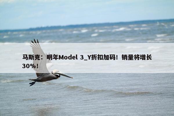 马斯克：明年Model 3_Y折扣加码！销量将增长30%！