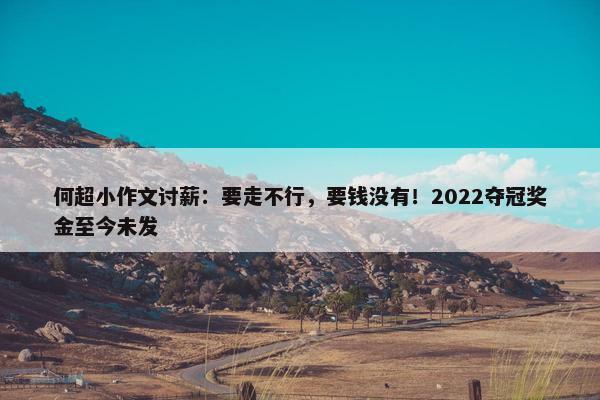 何超小作文讨薪：要走不行，要钱没有！2022夺冠奖金至今未发