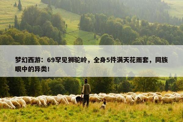 梦幻西游：69罕见狮驼岭，全身5件满天花雨套，同族眼中的异类！