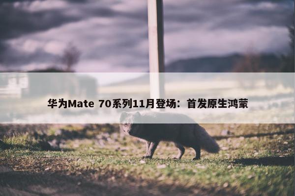 华为Mate 70系列11月登场：首发原生鸿蒙