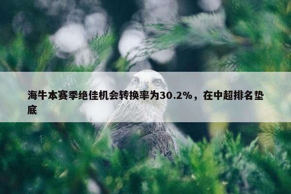 海牛本赛季绝佳机会转换率为30.2%，在中超排名垫底