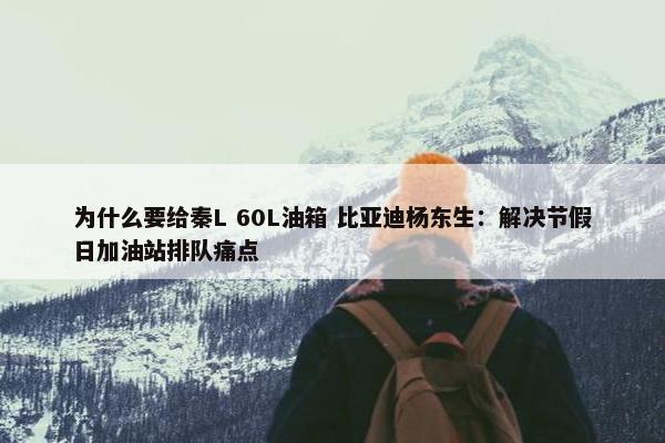 为什么要给秦L 60L油箱 比亚迪杨东生：解决节假日加油站排队痛点