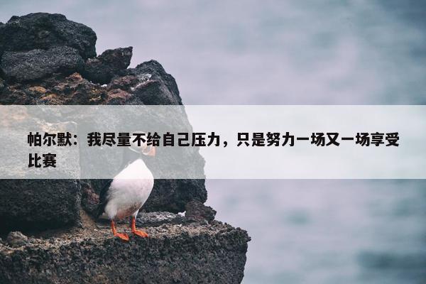 帕尔默：我尽量不给自己压力，只是努力一场又一场享受比赛