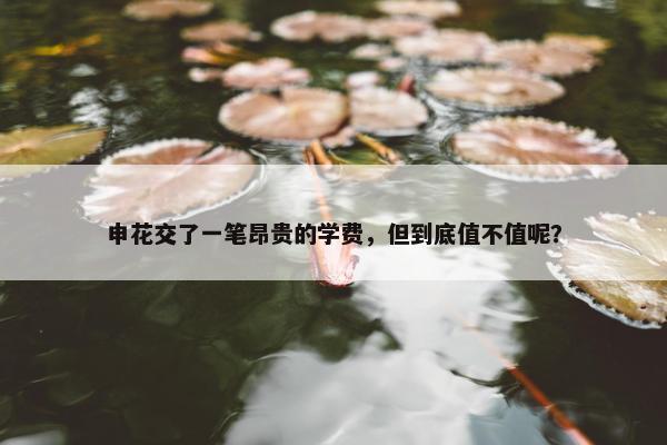 申花交了一笔昂贵的学费，但到底值不值呢？