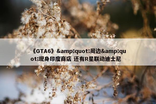 《GTA6》&quot;周边&quot;现身印度商店 还有R星联动迪士尼