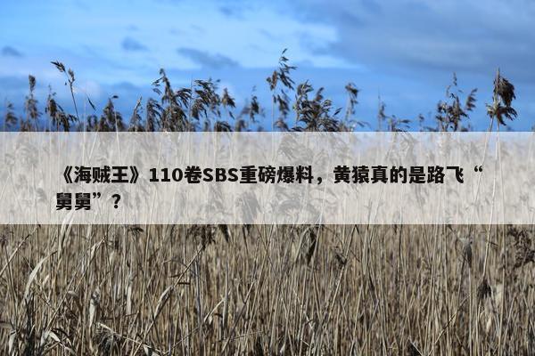 《海贼王》110卷SBS重磅爆料，黄猿真的是路飞“舅舅”？