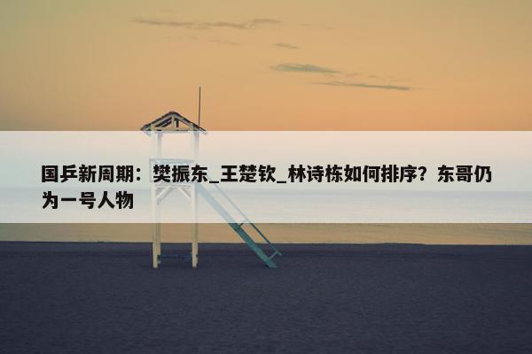 国乒新周期：樊振东_王楚钦_林诗栋如何排序？东哥仍为一号人物