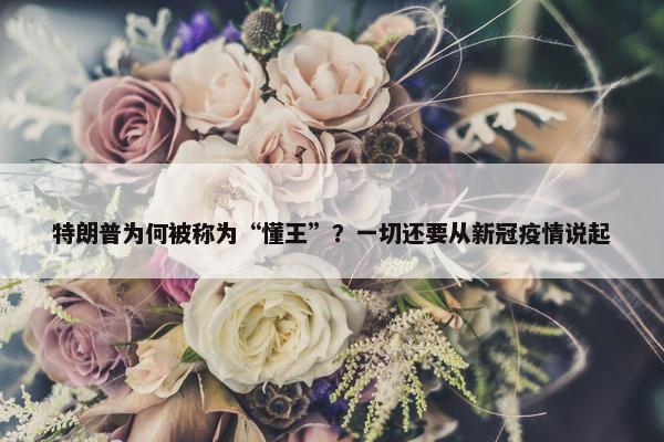 特朗普为何被称为“懂王”？一切还要从新冠疫情说起