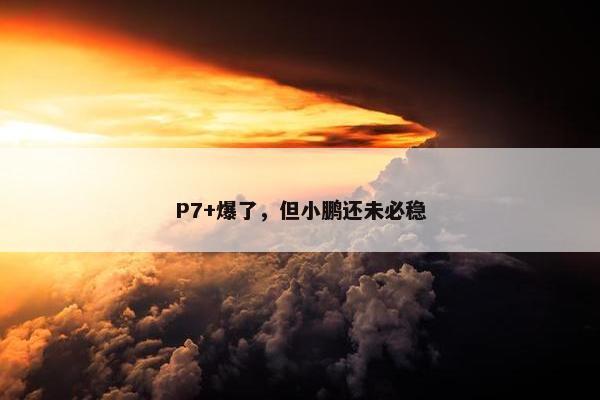 P7+爆了，但小鹏还未必稳