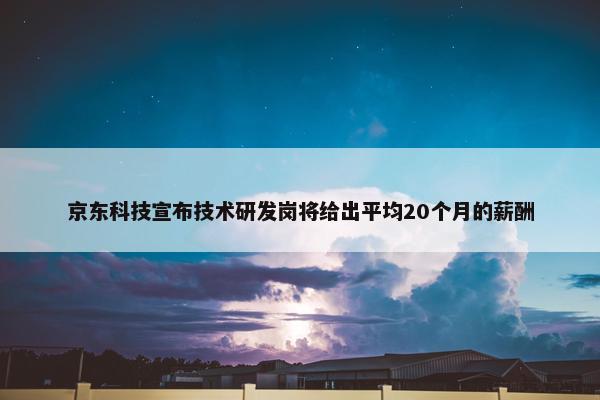 京东科技宣布技术研发岗将给出平均20个月的薪酬