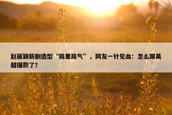 赵丽颖新剧造型“局里局气”，网友一针见血：怎么跟吴越撞款了？