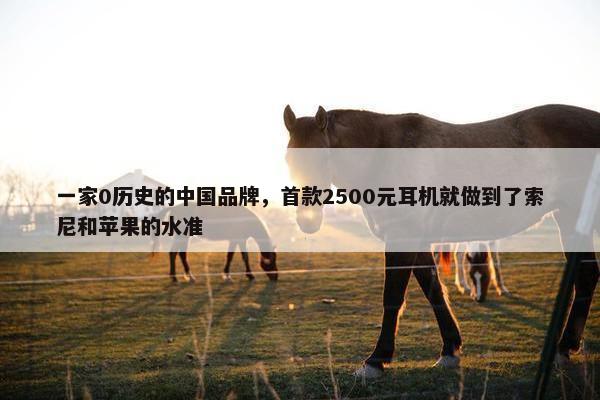 一家0历史的中国品牌，首款2500元耳机就做到了索尼和苹果的水准