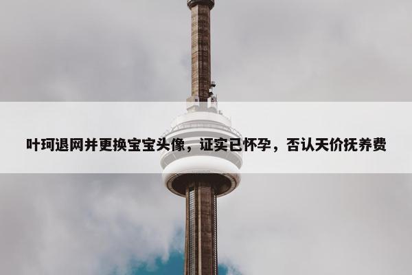 叶珂退网并更换宝宝头像，证实已怀孕，否认天价抚养费