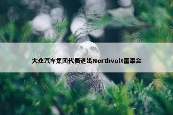 大众汽车集团代表退出Northvolt董事会