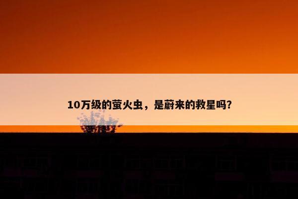 10万级的萤火虫，是蔚来的救星吗？