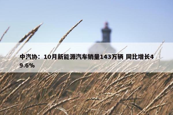 中汽协：10月新能源汽车销量143万辆 同比增长49.6%