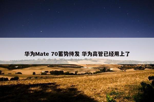 华为Mate 70蓄势待发 华为高管已经用上了